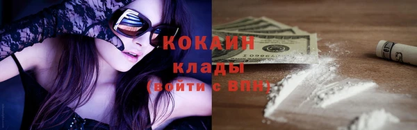гашик Белокуриха