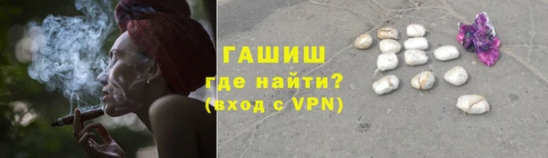 гашик Белокуриха