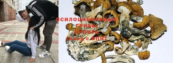 a pvp Баксан
