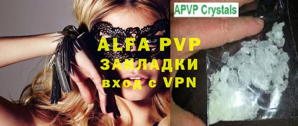 сатива Балахна