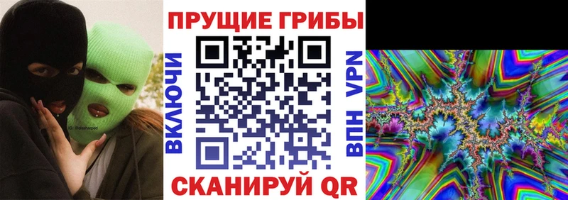 Псилоцибиновые грибы MAGIC MUSHROOMS  Урус-Мартан 