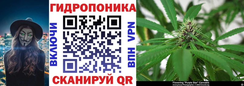 Каннабис семена Урус-Мартан